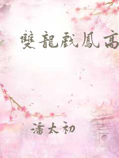 双龙戏凤高h