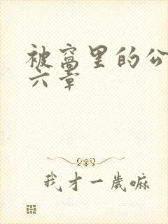 被窝里的公息第六章