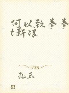何以致拳拳txt新浪