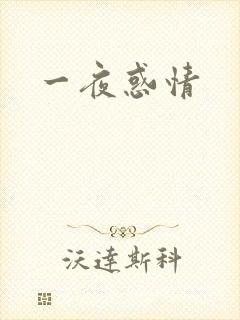 一夜惑情
