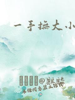 一手抚大小说