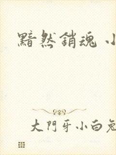 黯然销魂 小说