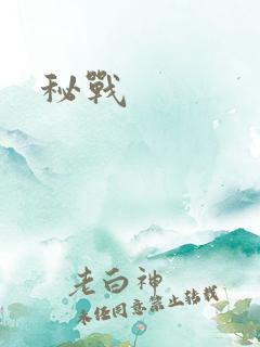 秘战