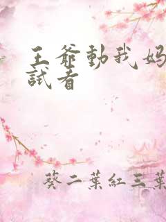 王爷动我妈咪试试看