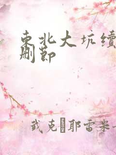 东北大坑续集未删节