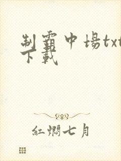 制霸中场txt下载