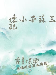 坏小子苏三风流记