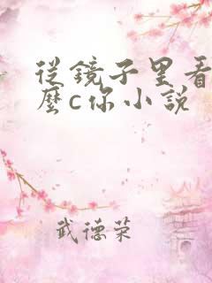 从镜子里看我怎么c你小说