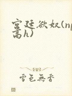 宫廷欲奴(np高h)