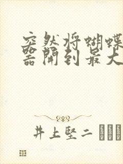 突然将蝴蝶遥控器开到最大