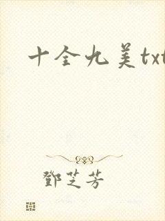 十全九美txt