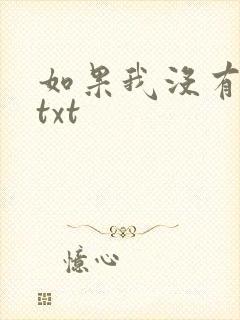 如果我没有爱过txt