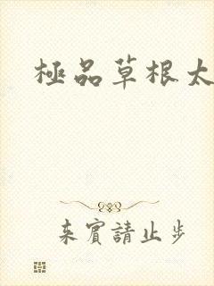 极品草根太子