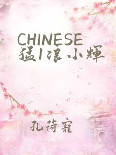CHINESE猛1浪小辉
