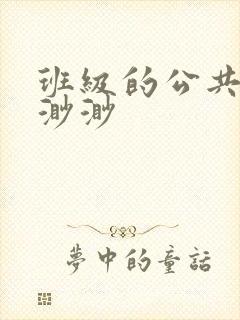 班级的公共玩具渺渺