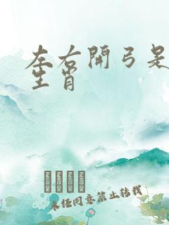 左右开弓是什么生肖