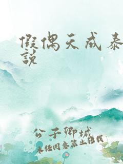 假偶天成泰国小说