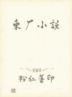 东厂小说