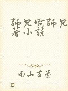 师兄啊师兄的原著小说