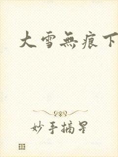 大雪无痕下载
