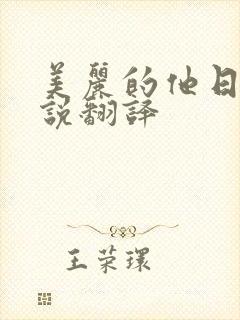 美丽的他日剧小说翻译