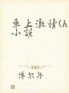 车上激情(h)小说