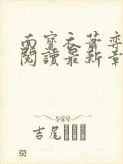 南宝衣萧弈免费阅读最新章节