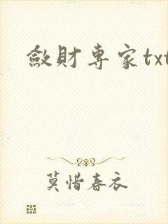 敛财专家txt