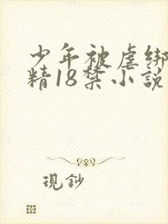 少年被虐绑着榨精18禁小说