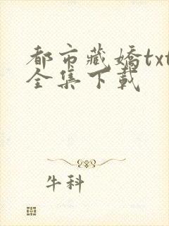 都市藏娇txt全集下载