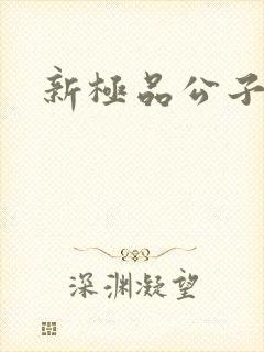 新极品公子