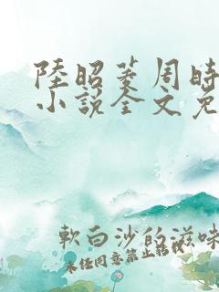 陆昭菱周时阅的小说全文免费阅读