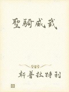 圣骑威武