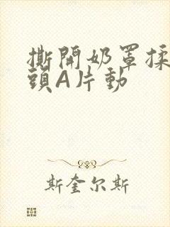 撕开奶罩揉吮奶头A片动