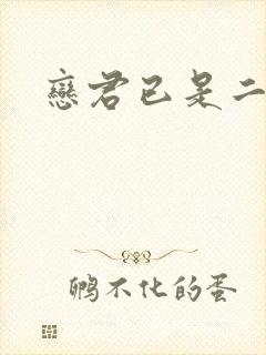 恋君已是二十年