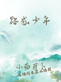 路感少年