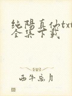 纯阳真仙txt全集下载