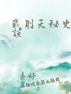 武则天秘史 小说