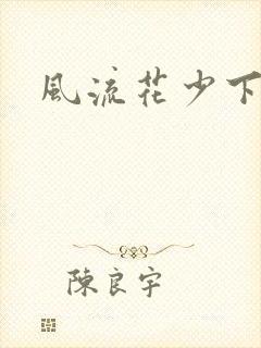 风流花少下载