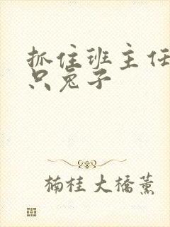 抓住班主任的两只兔子