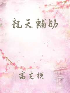 龙天辅助