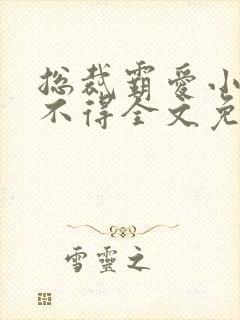 总裁霸爱小妻惹不得全文免费阅读