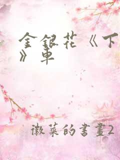 金银花《下厨房》车