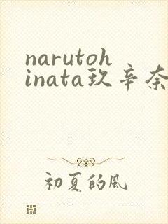 narutohinata玖辛奈本子