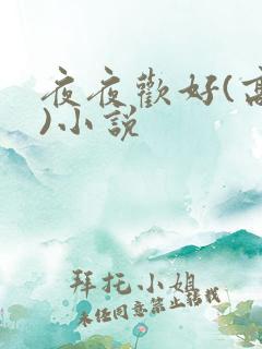 夜夜欢好(高h)小说
