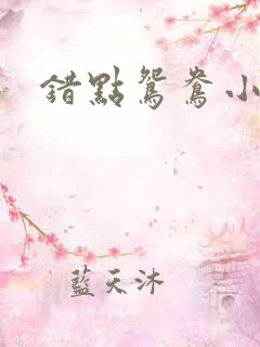 错点鸳鸯小说