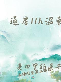 通房11h温东