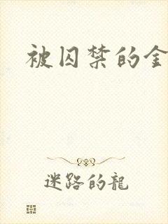 被囚禁的金丝雀