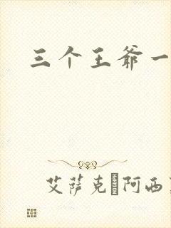三个王爷一个妃