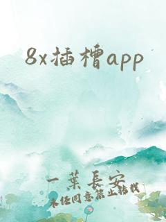 8x插槽app